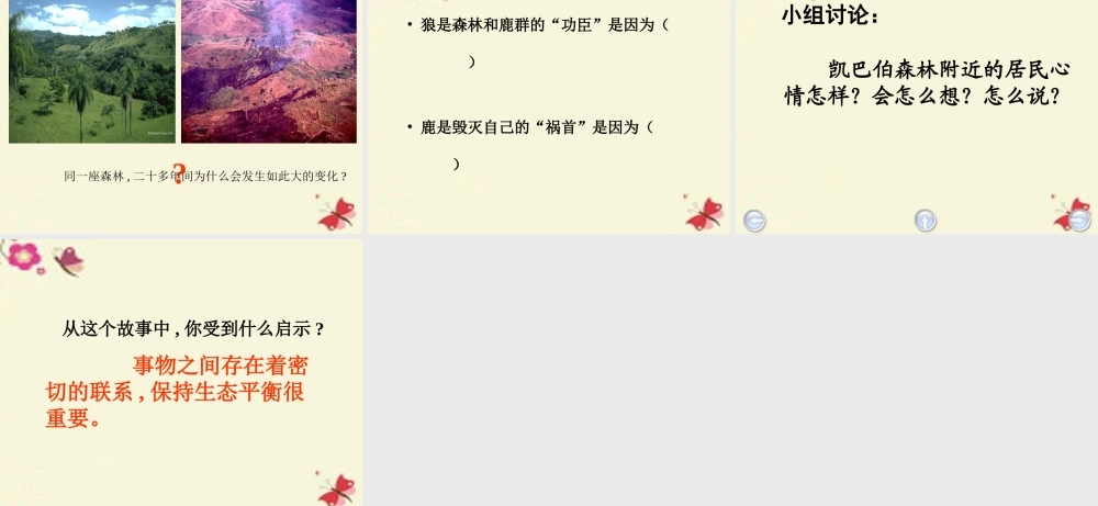 四年级语文下册 第8单元 39《狼和鹿》课件1 沪教版-沪教版小学四年级下册语文课件