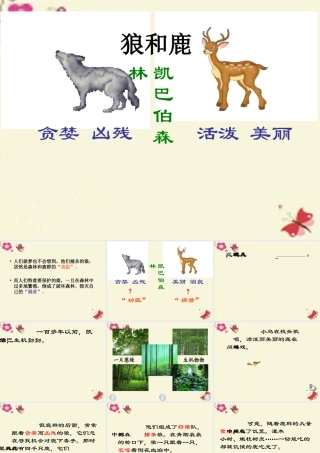 四年级语文下册 第8单元 39《狼和鹿》课件1 沪教版-沪教版小学四年级下册语文课件