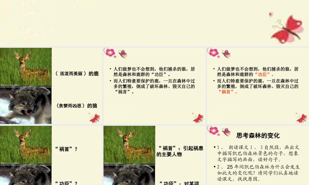 四年级语文下册 第8单元 39《狼和鹿》课件2 沪教版-沪教版小学四年级下册语文课件