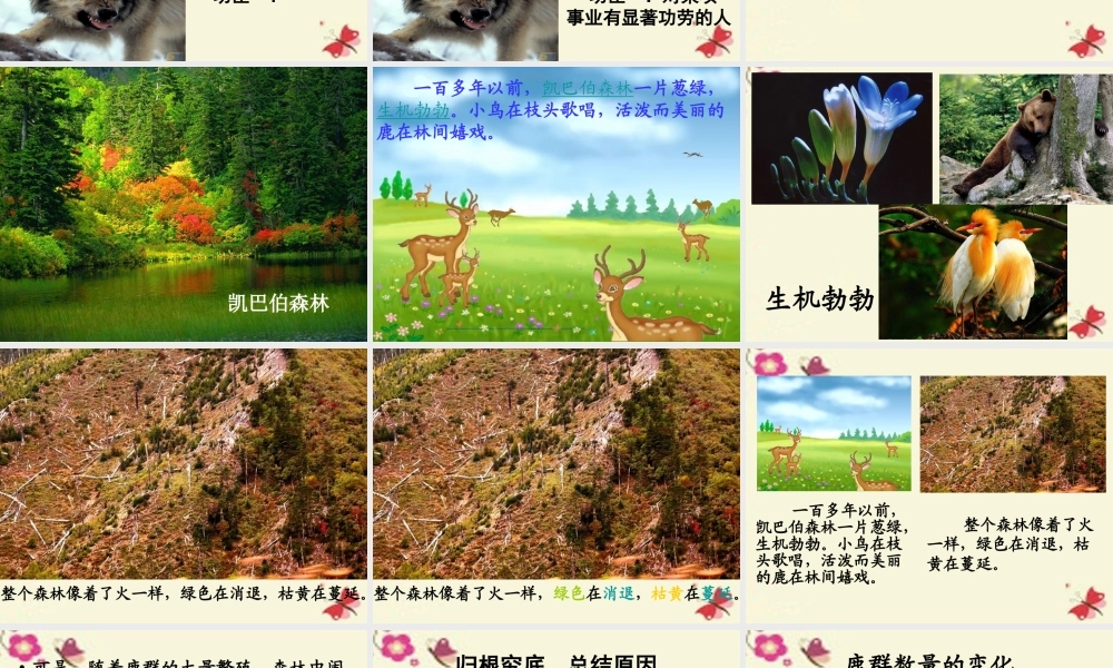 四年级语文下册 第8单元 39《狼和鹿》课件2 沪教版-沪教版小学四年级下册语文课件