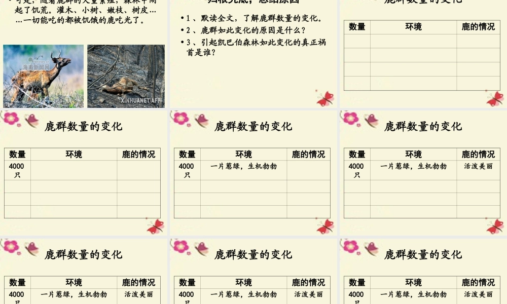 四年级语文下册 第8单元 39《狼和鹿》课件2 沪教版-沪教版小学四年级下册语文课件