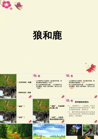 四年级语文下册 第8单元 39《狼和鹿》课件2 沪教版-沪教版小学四年级下册语文课件