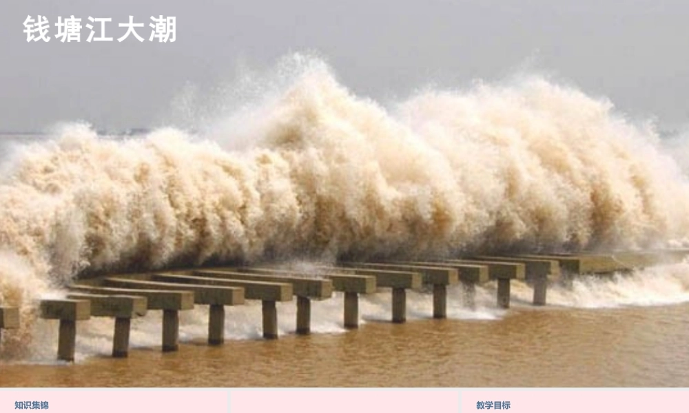 文上册 第一单元 1 观潮课件