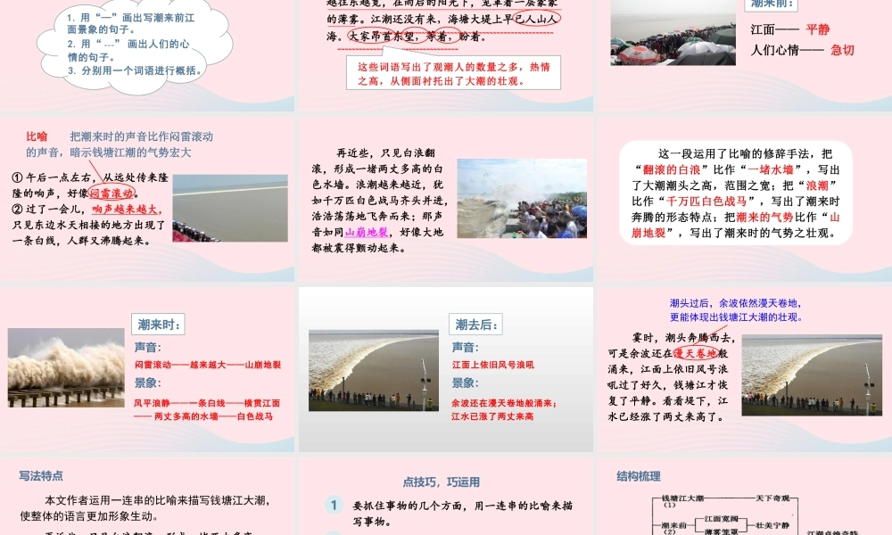 文上册 第一单元 1 观潮课件