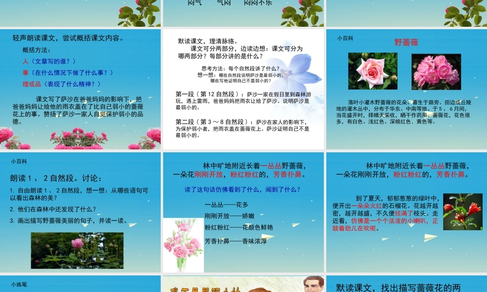 四年级语文下册 14《我不是最弱小的》课件 苏教版-苏教版小学四年级下册语文课件