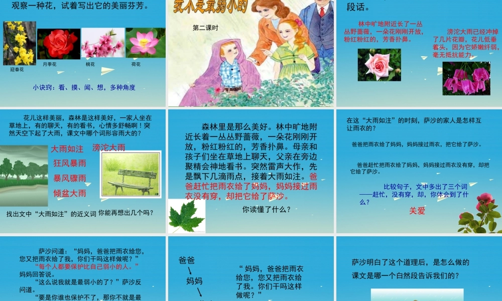 四年级语文下册 14《我不是最弱小的》课件 苏教版-苏教版小学四年级下册语文课件
