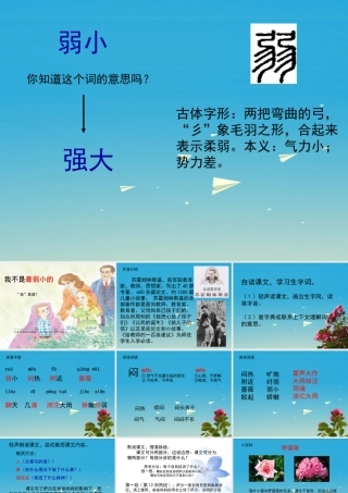 四年级语文下册 14《我不是最弱小的》课件 苏教版-苏教版小学四年级下册语文课件