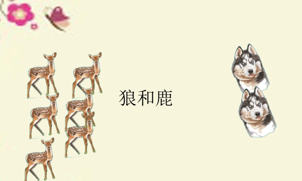 四年级语文下册 第8单元 39《狼和鹿》课件3 沪教版-沪教版小学四年级下册语文课件