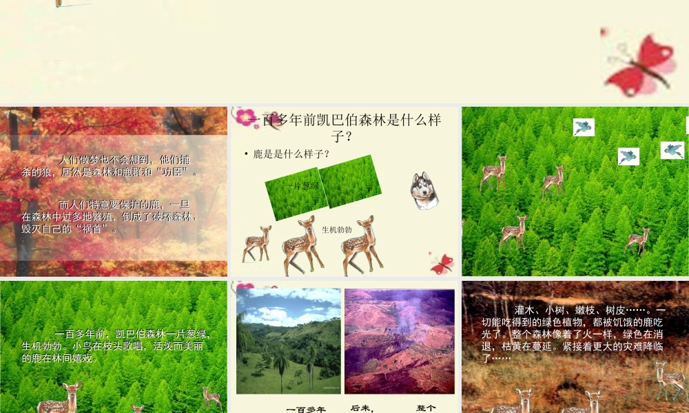 四年级语文下册 第8单元 39《狼和鹿》课件3 沪教版-沪教版小学四年级下册语文课件