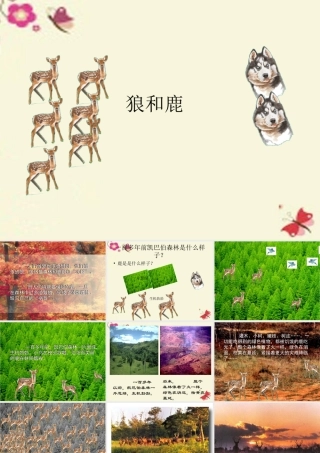 四年级语文下册 第8单元 39《狼和鹿》课件3 沪教版-沪教版小学四年级下册语文课件