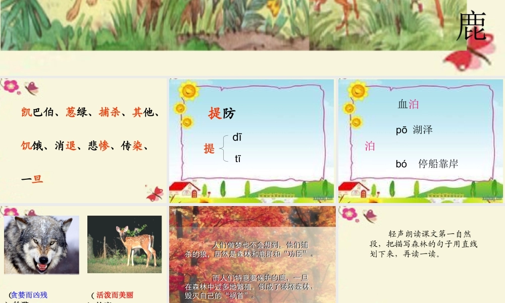 四年级语文下册 第8单元 39《狼和鹿》课件4 沪教版-沪教版小学四年级下册语文课件