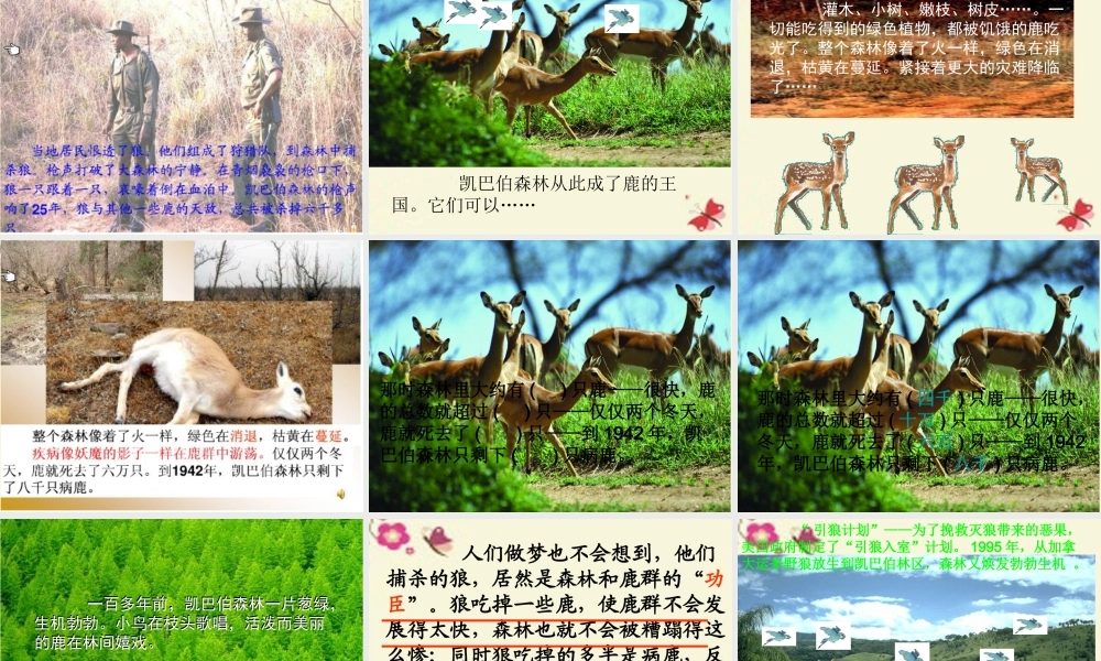 四年级语文下册 第8单元 39《狼和鹿》课件4 沪教版-沪教版小学四年级下册语文课件