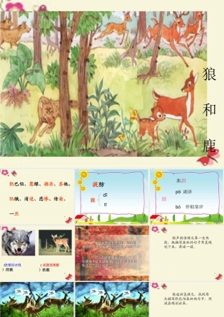 四年级语文下册 第8单元 39《狼和鹿》课件4 沪教版-沪教版小学四年级下册语文课件