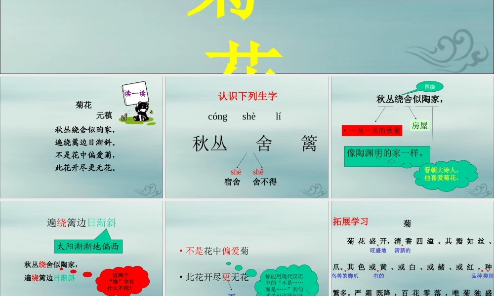 四年级语文上册 第二单元 5 古诗三首 菊花教学课件 语文S版-语文S版小学四年级上册语文课件