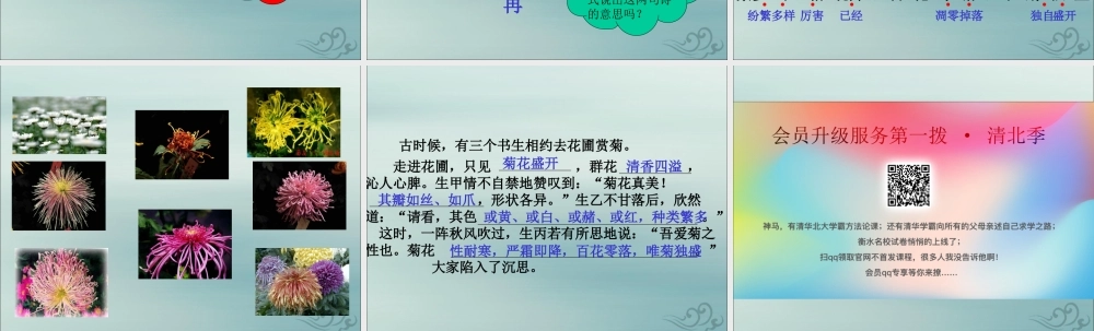 四年级语文上册 第二单元 5 古诗三首 菊花教学课件 语文S版-语文S版小学四年级上册语文课件