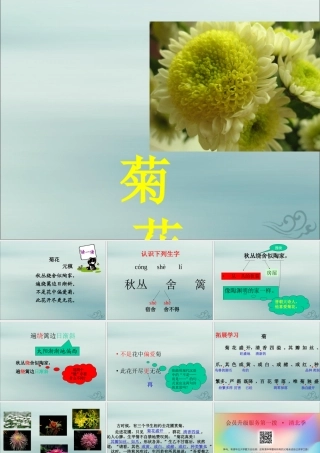 四年级语文上册 第二单元 5 古诗三首 菊花教学课件 语文S版-语文S版小学四年级上册语文课件