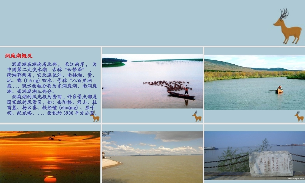 四年级语文上册 第二单元 5 古诗三首 望洞庭教学课件 语文S版-语文S版小学四年级上册语文课件