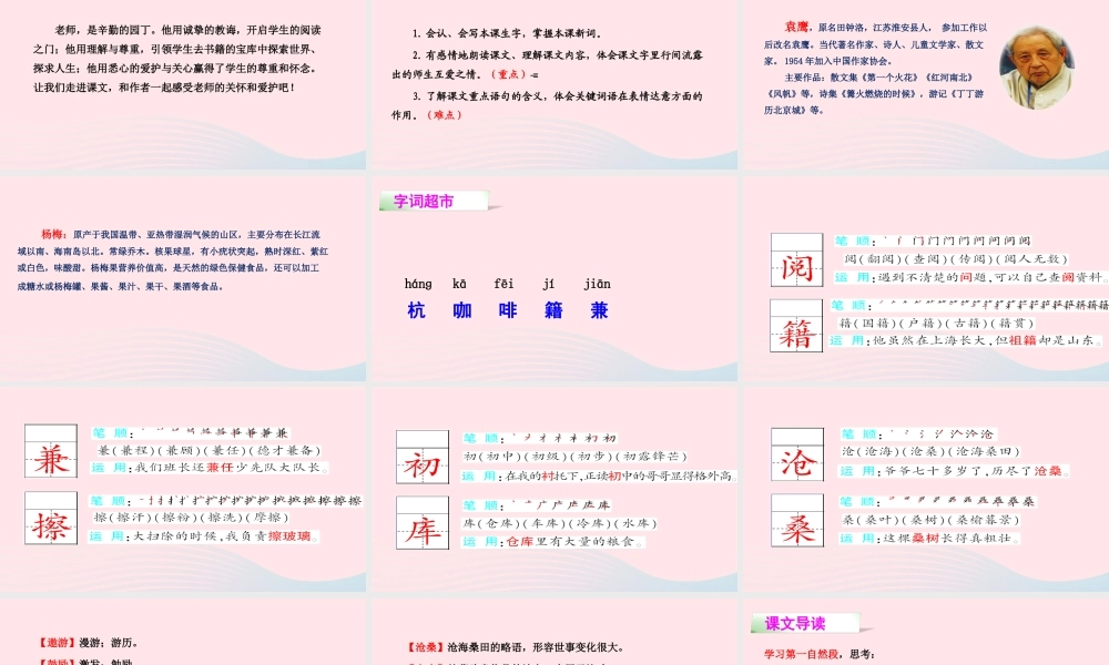 四年级语文下册 第五单元 18 萧山杨梅课件 语文S版-语文S版小学四年级下册语文课件