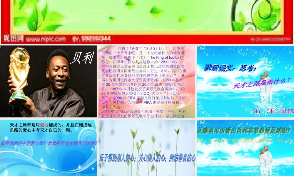 四年级语文下册 第8单元 40《天才之路》课件2 沪教版-沪教版小学四年级下册语文课件