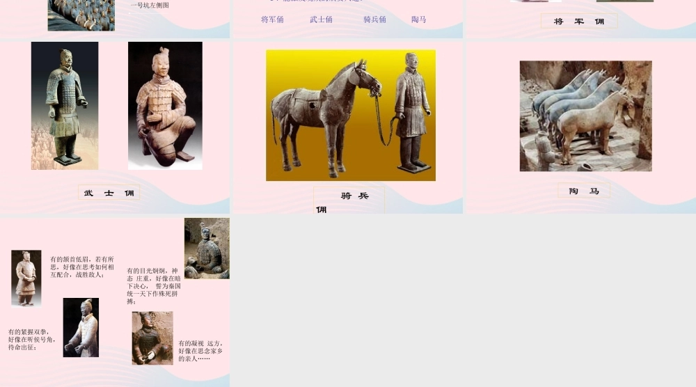 四年级语文上册 第五组 19 秦兵马俑课件 新人教版-新人教版小学四年级上册语文课件