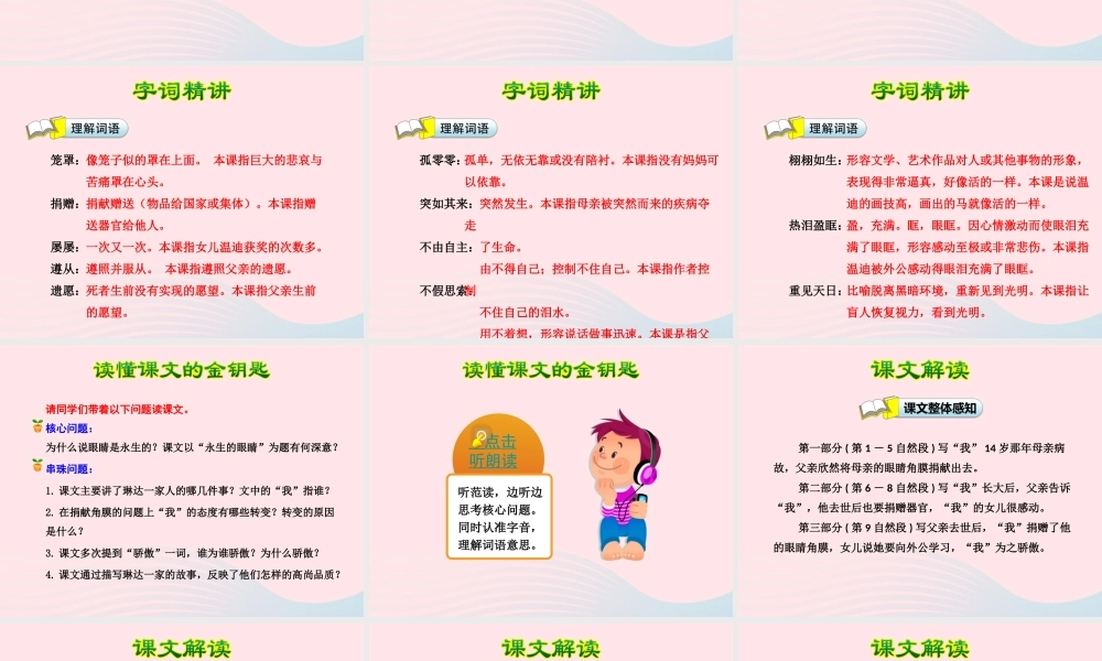 四年级语文下册 第五单元 18 永生的眼睛课件1 新人教版-新人教版小学四年级下册语文课件