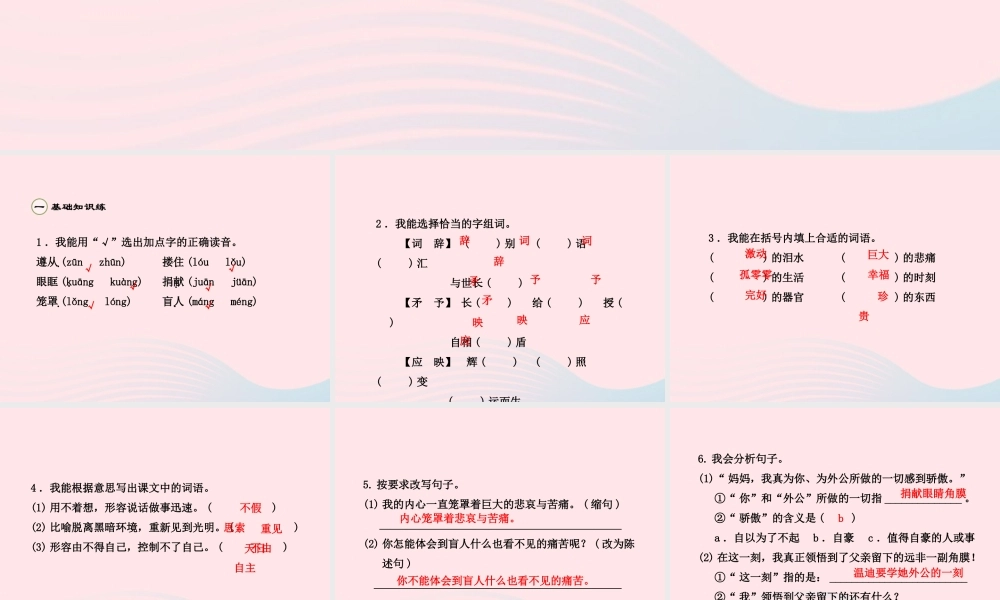 四年级语文下册 第五单元 18 永生的眼睛课件2 新人教版-新人教版小学四年级下册语文课件