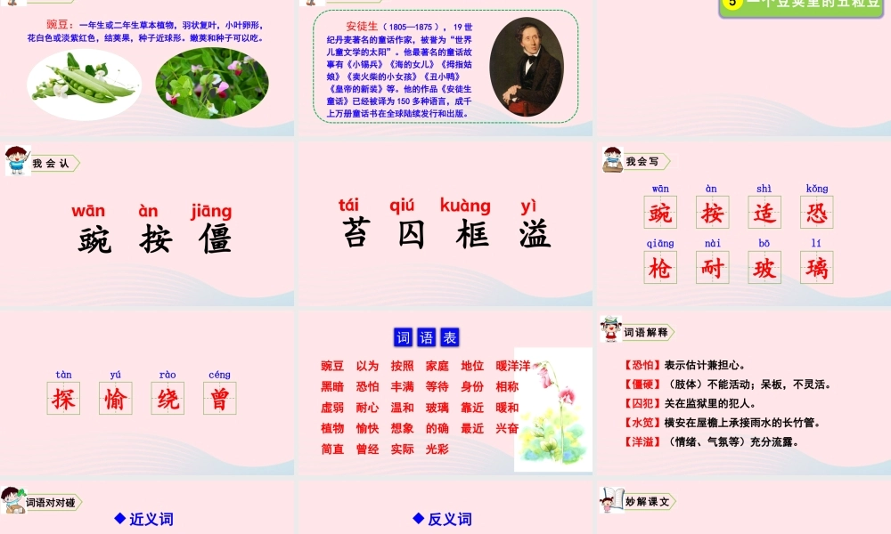 四年级语文上册 第二单元 5 一个豆荚里的五粒豆教学课件 新人教版-新人教版小学四年级上册语文课件