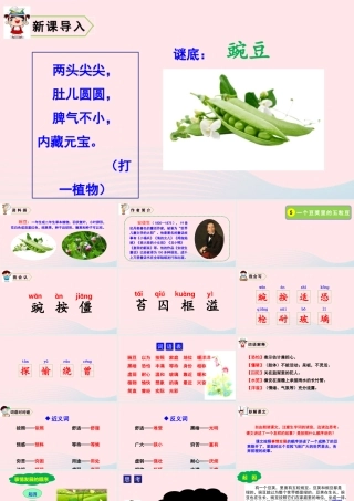 四年级语文上册 第二单元 5 一个豆荚里的五粒豆教学课件 新人教版-新人教版小学四年级上册语文课件