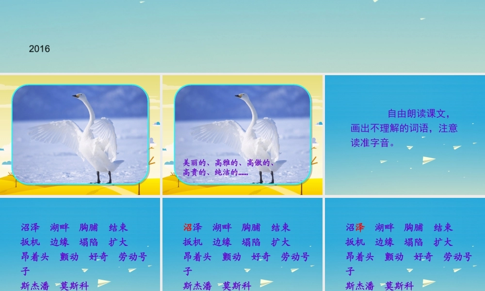 四年级语文下册 16 天鹅的故事课件 苏教版-苏教版小学四年级下册语文课件