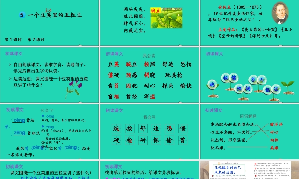 四年级语文上册 第二单元 5 一个豆荚里的五粒豆课件