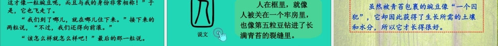 四年级语文上册 第二单元 5 一个豆荚里的五粒豆课件
