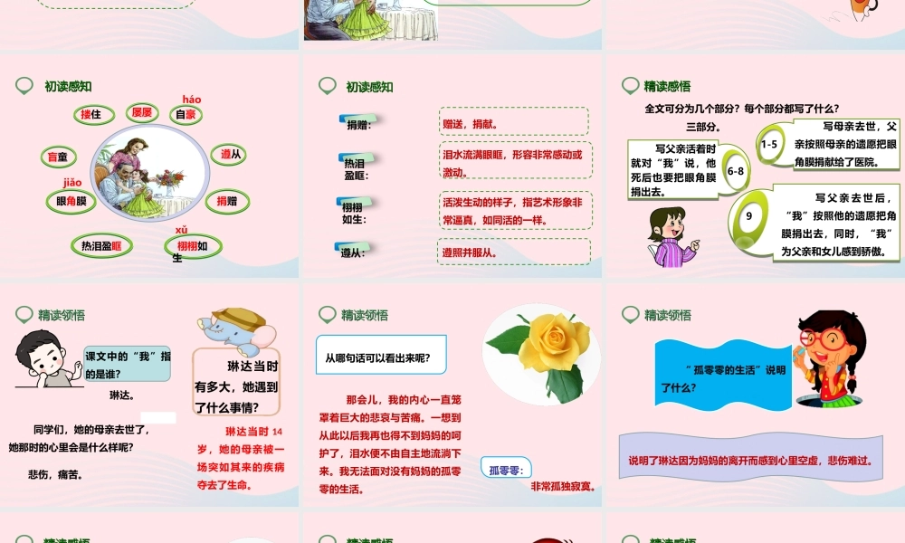 四年级语文下册 第五单元 18 永生的眼睛课件4 新人教版-新人教版小学四年级下册语文课件