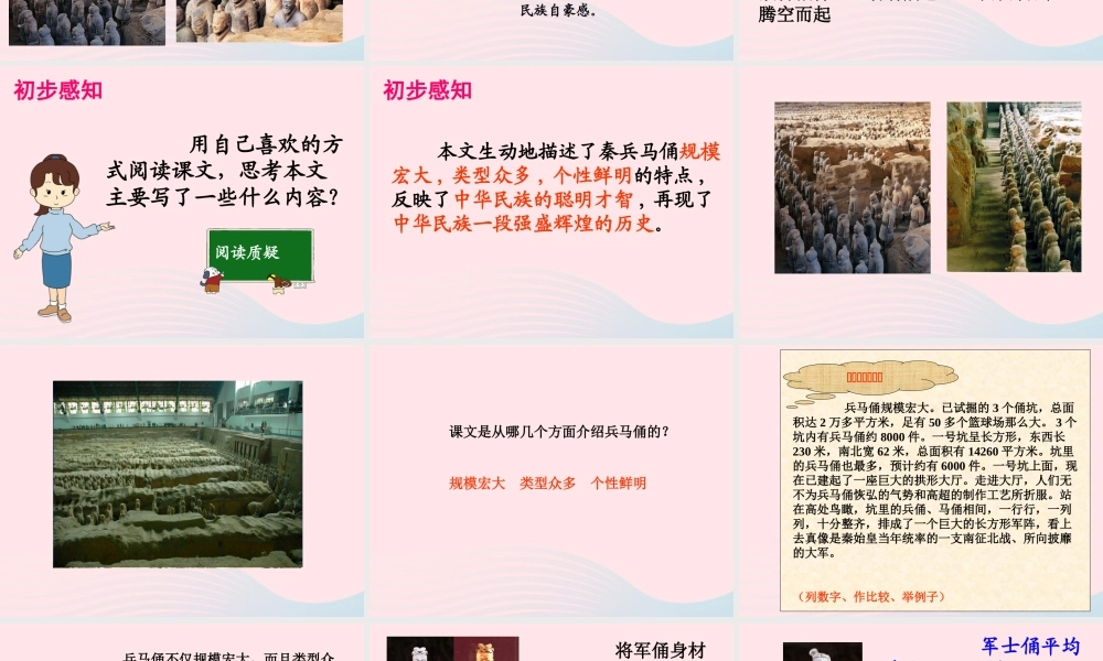 四年级语文上册 第五组 19《秦兵马俑》课堂教学课件2 新人教版-新人教版小学四年级上册语文课件