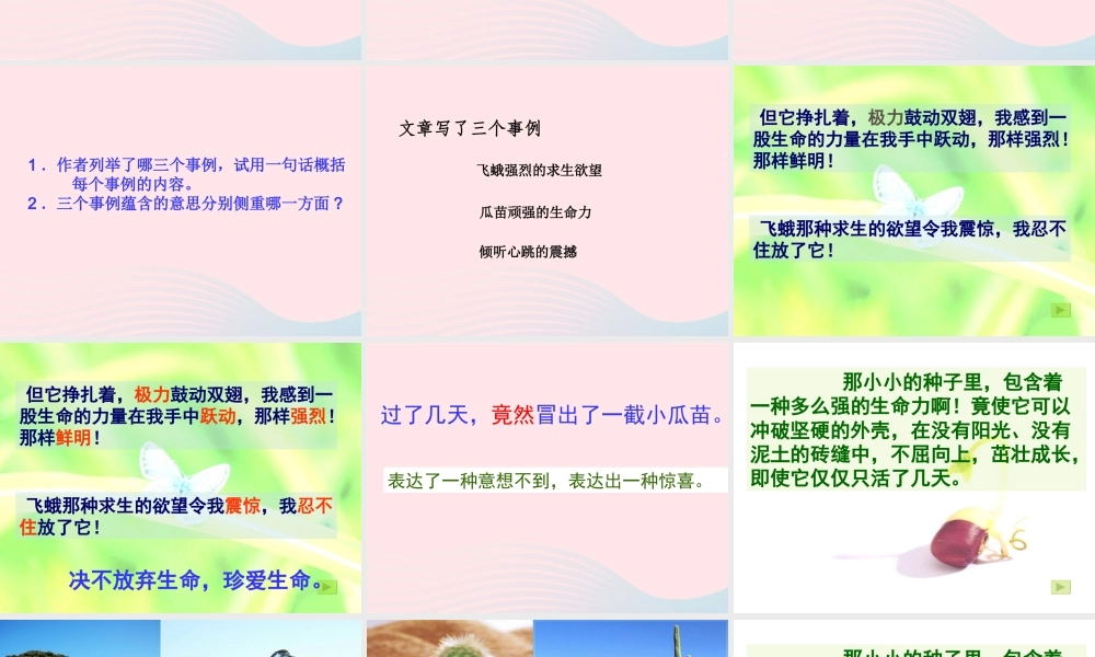 四年级语文下册 第五单元 18《生命 生命》课堂教学课件1 新人教版-新人教版小学四年级下册语文课件