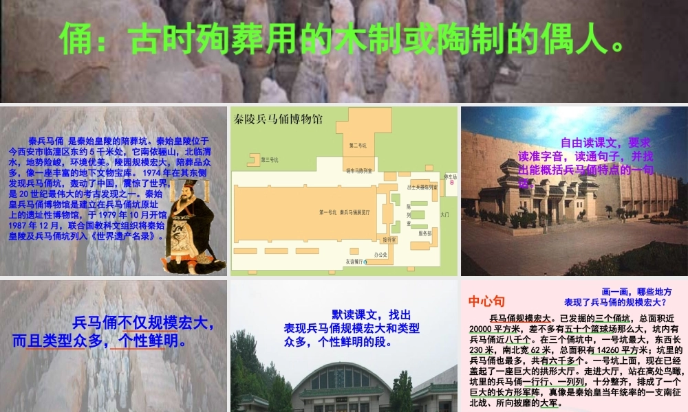 四年级语文上册 第五组 19《秦兵马俑》课堂教学课件3 新人教版-新人教版小学四年级上册语文课件