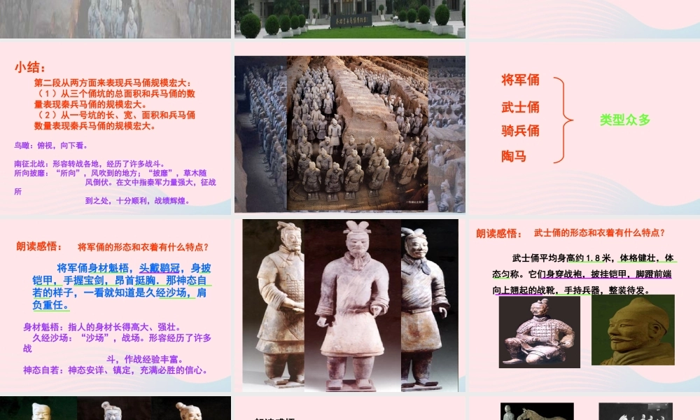四年级语文上册 第五组 19《秦兵马俑》课堂教学课件3 新人教版-新人教版小学四年级上册语文课件