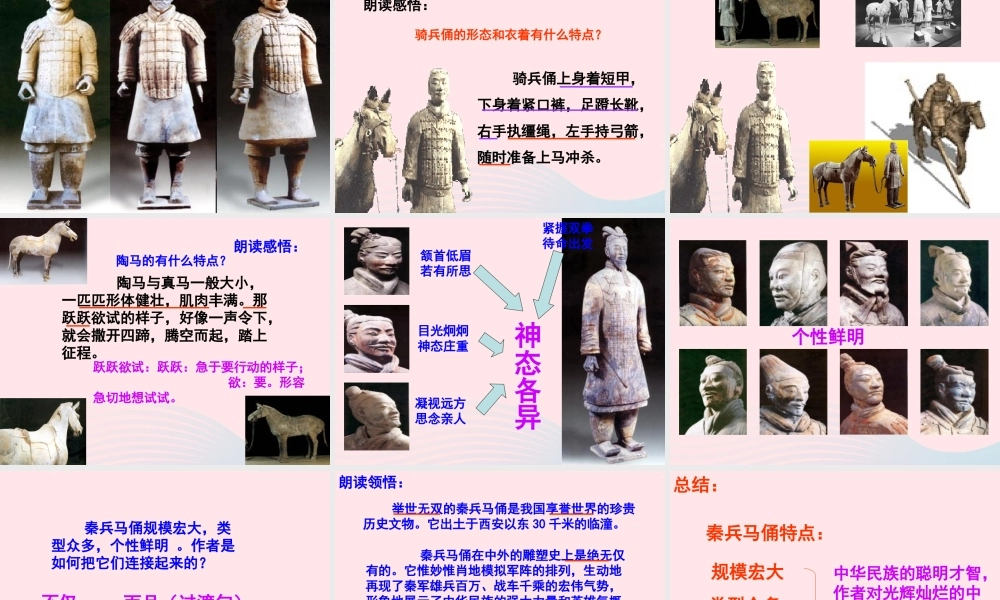 四年级语文上册 第五组 19《秦兵马俑》课堂教学课件3 新人教版-新人教版小学四年级上册语文课件