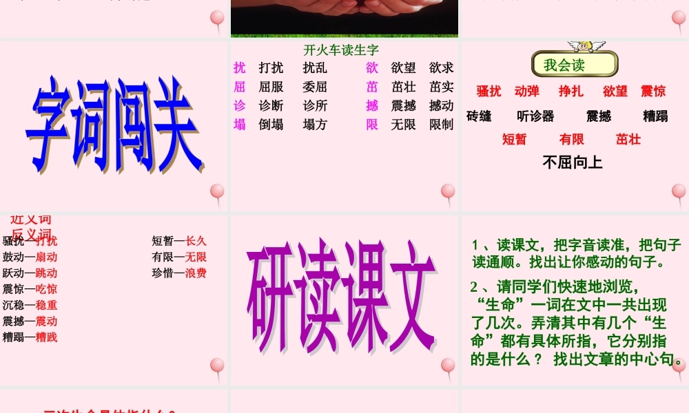 四年级语文下册 第五单元 18《生命 生命》课堂教学课件2 新人教版-新人教版小学四年级下册语文课件