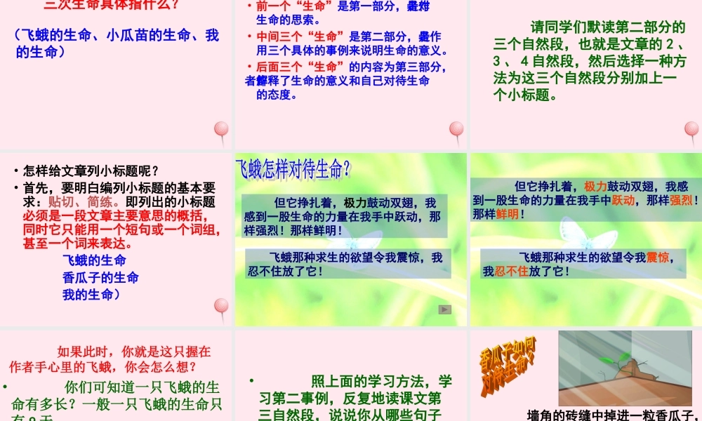 四年级语文下册 第五单元 18《生命 生命》课堂教学课件2 新人教版-新人教版小学四年级下册语文课件