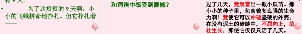 四年级语文下册 第五单元 18《生命 生命》课堂教学课件2 新人教版-新人教版小学四年级下册语文课件