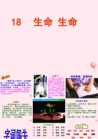 四年级语文下册 第五单元 18《生命 生命》课堂教学课件2 新人教版-新人教版小学四年级下册语文课件