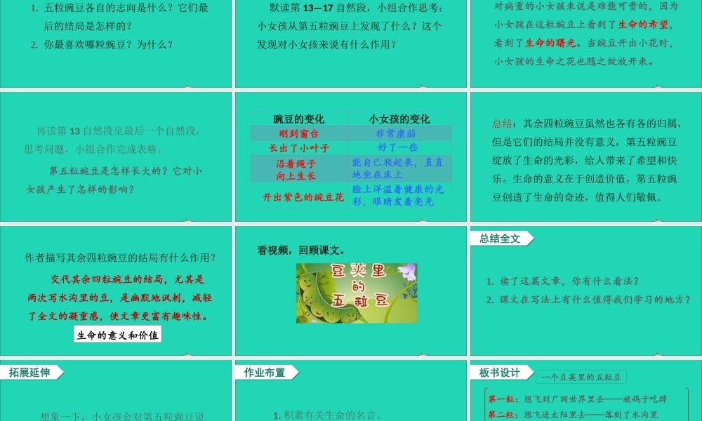 四年级语文上册 第二单元 5《一个豆荚里的五粒豆》课件