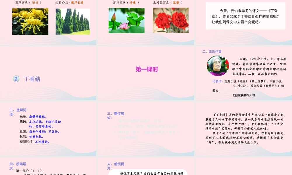 文上册 第一单元 2丁香结课件