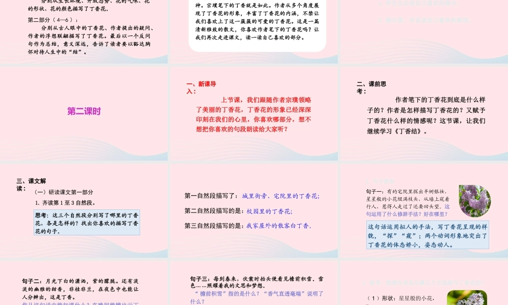 文上册 第一单元 2丁香结课件