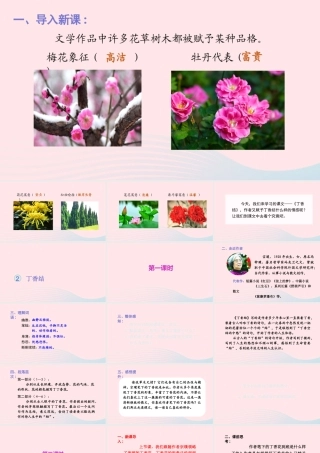 文上册 第一单元 2丁香结课件