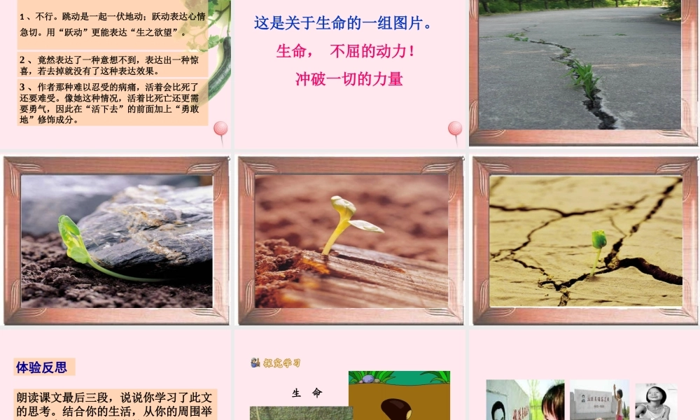 四年级语文下册 第五单元 18《生命 生命》课堂教学课件3 新人教版-新人教版小学四年级下册语文课件