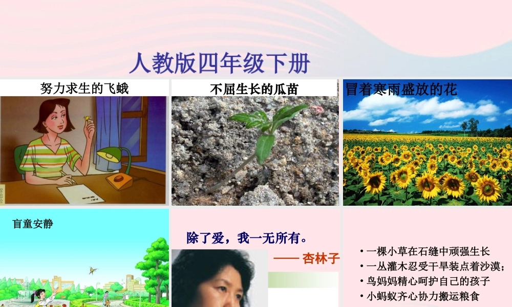 四年级语文下册 第五单元 19 生命 生命课件 新人教版-新人教版小学四年级下册语文课件