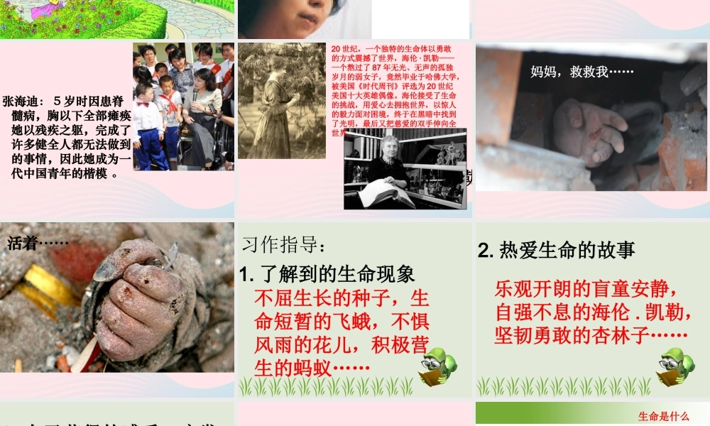 四年级语文下册 第五单元 19 生命 生命课件 新人教版-新人教版小学四年级下册语文课件