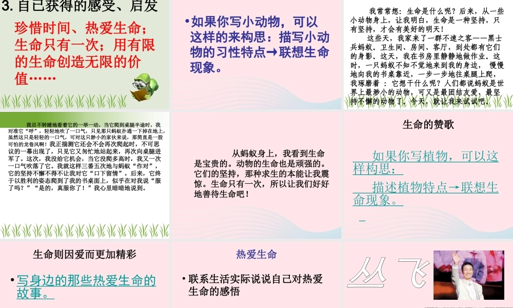 四年级语文下册 第五单元 19 生命 生命课件 新人教版-新人教版小学四年级下册语文课件