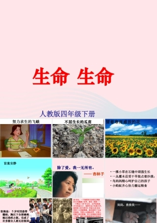 四年级语文下册 第五单元 19 生命 生命课件 新人教版-新人教版小学四年级下册语文课件